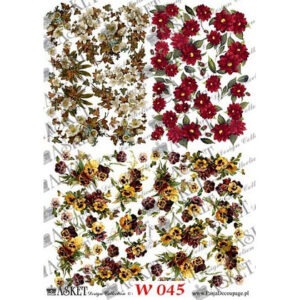 A3 asket w045