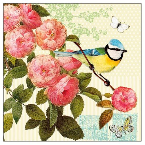 Bird on branch B