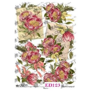 A3 asket ed123