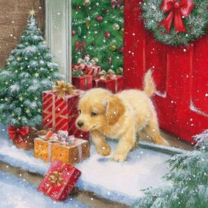 Christmas puppy