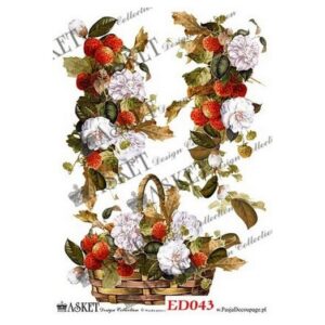 A3 asket ed043