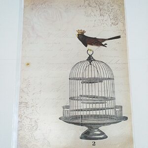 A3 bird cage