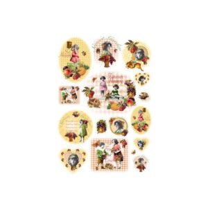 A3 sweet garden