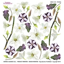 Ζελατινα Petunia