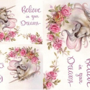 Believe in Your Dreams
